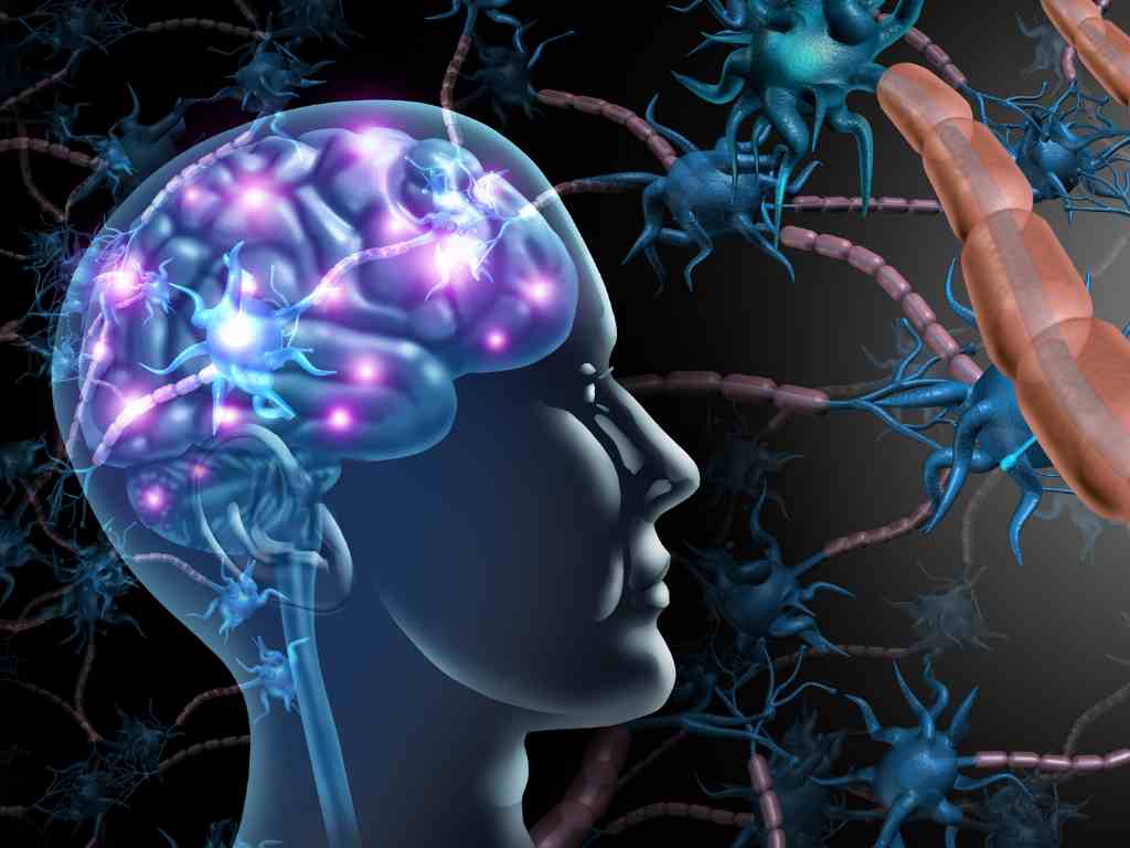 Qué es y para qué sirve la neurociencia